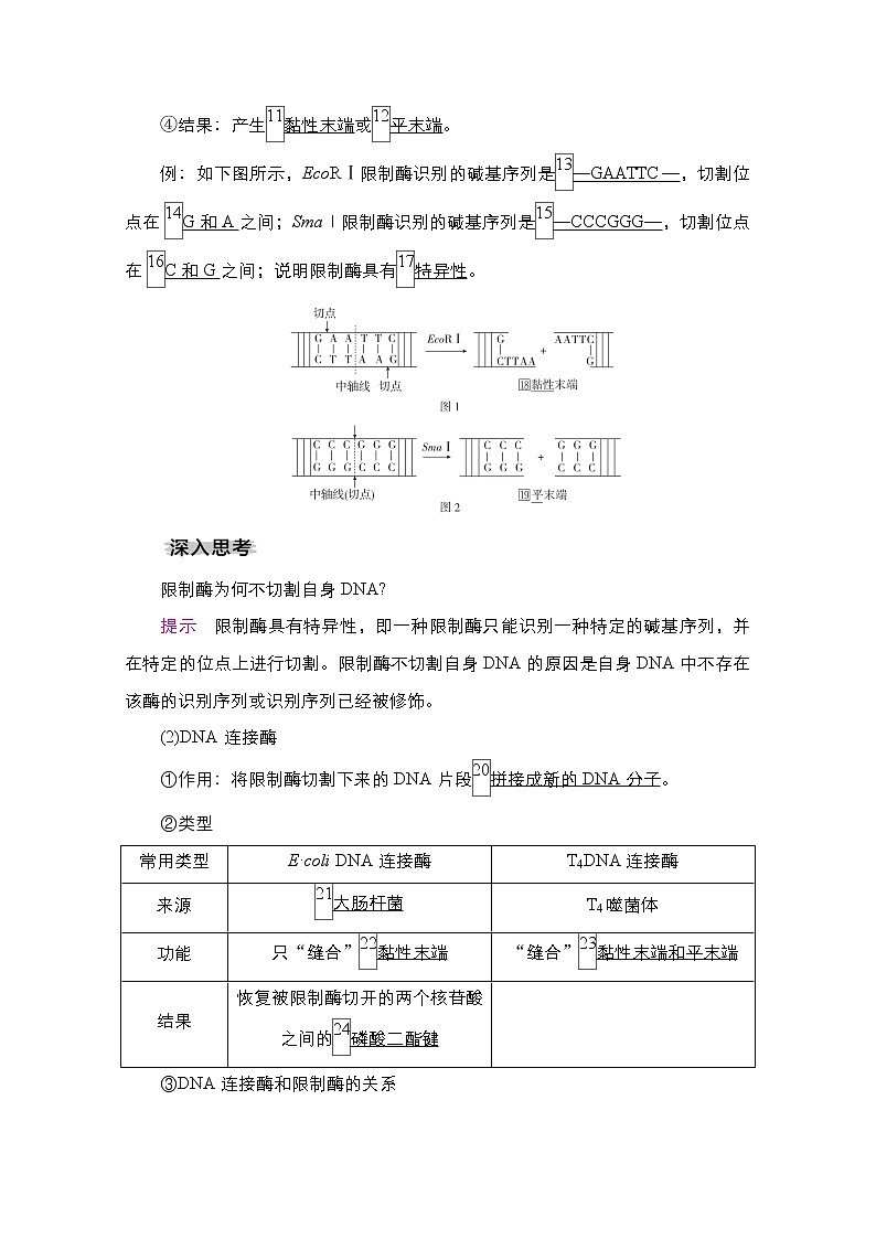 2021高三统考人教生物一轮（经典版）学案：选修3第10单元　第35讲　基因工程第2页
