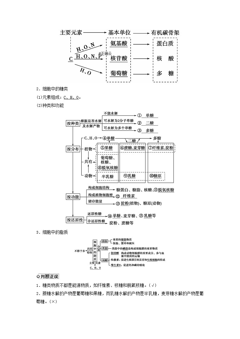 2021届高考生物苏教版一轮复习学案：第1单元细胞的化学组成第2讲细胞中的生物大分子——糖类、脂质和核酸02