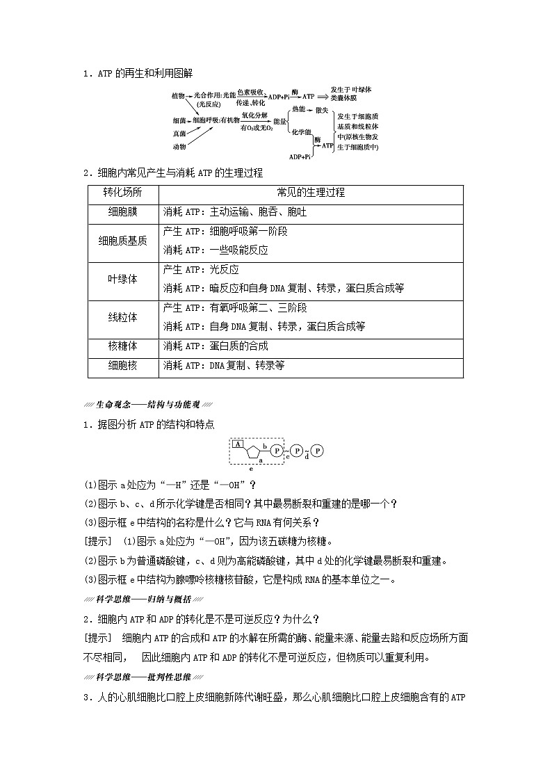 2021届高考生物苏教版一轮复习学案：第3单元细胞的能量供应和利用第1讲ATP和酶03