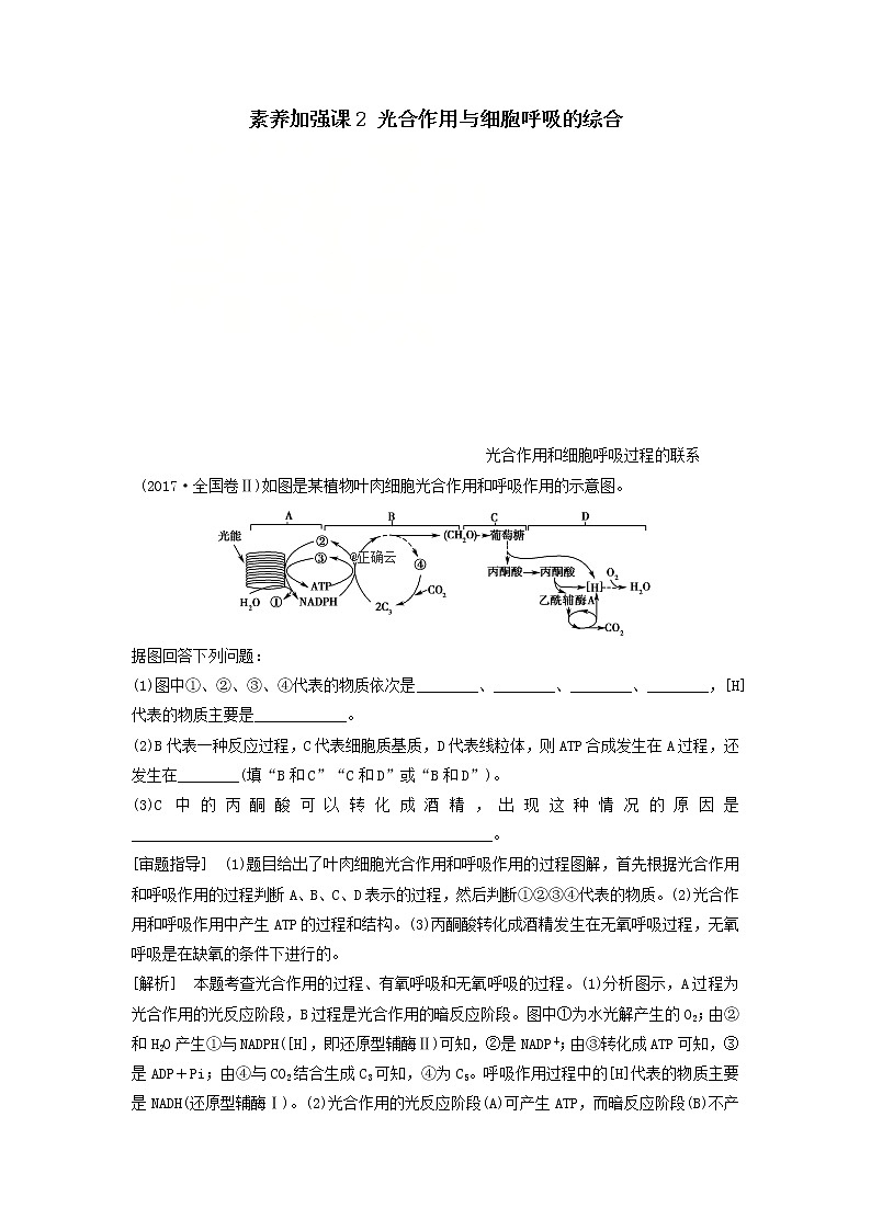 2021届高考生物苏教版一轮复习学案：第3单元细胞的能量供应和利用素养加强课2光合作用与细胞呼吸的综合01