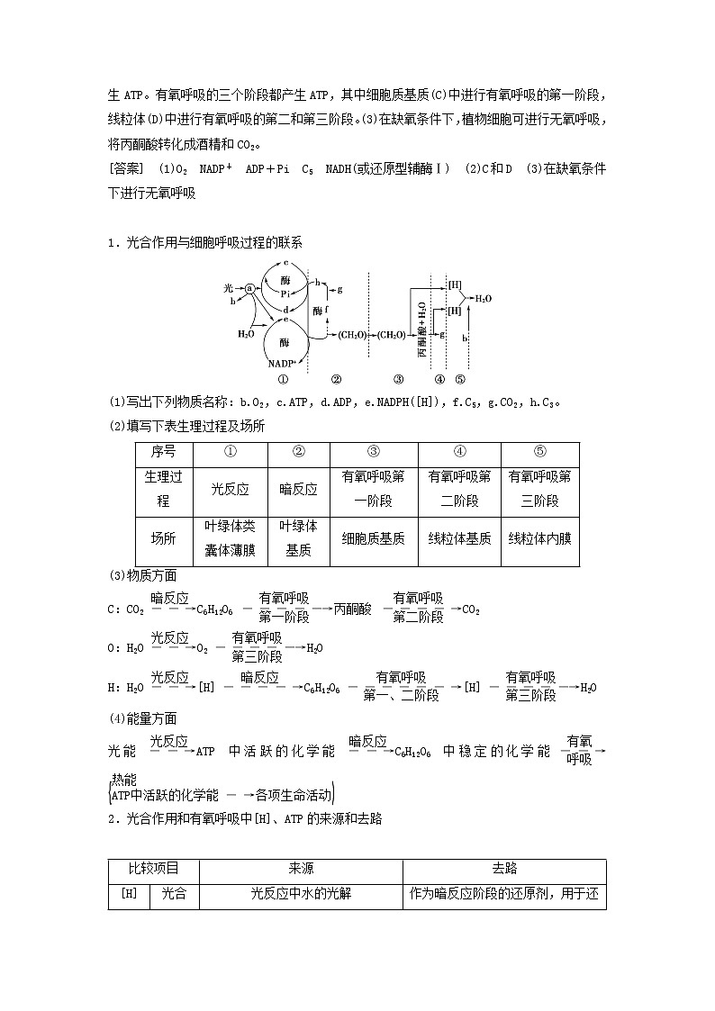 2021届高考生物苏教版一轮复习学案：第3单元细胞的能量供应和利用素养加强课2光合作用与细胞呼吸的综合02