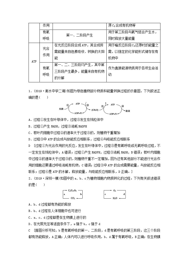 2021届高考生物苏教版一轮复习学案：第3单元细胞的能量供应和利用素养加强课2光合作用与细胞呼吸的综合03