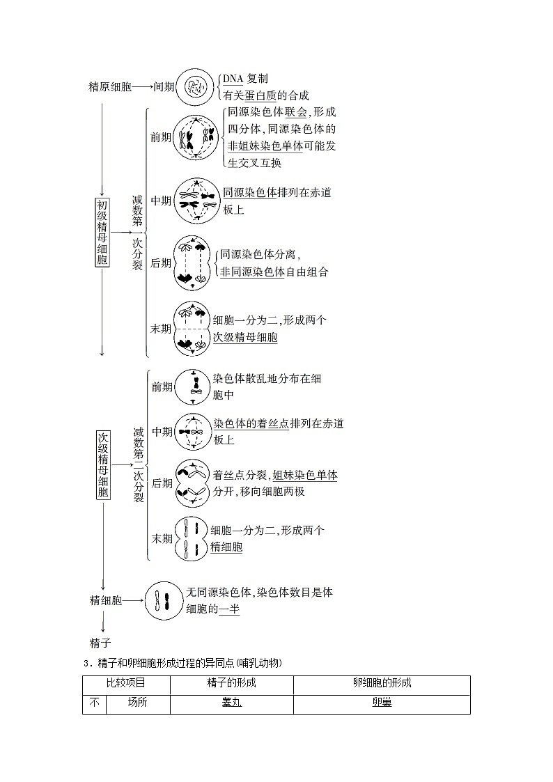 2021届高考生物苏教版一轮复习学案：第4单元细胞的生命历程第2讲减数分裂和有性生殖02
