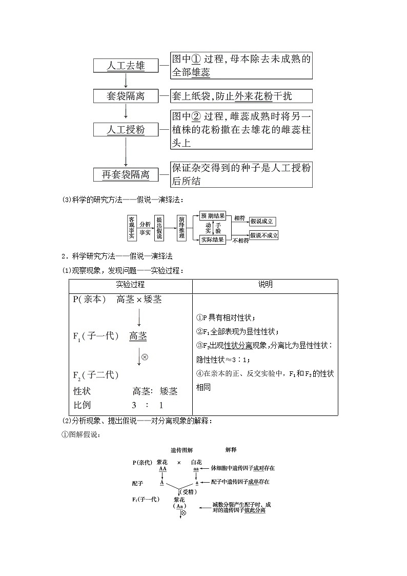 2021届高考生物苏教版一轮复习学案：第5单元遗传定律和伴性遗传第1讲基因的分离定律02