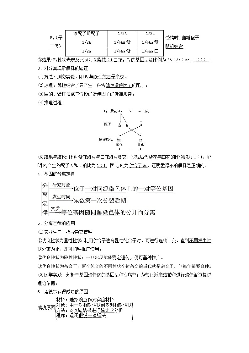 2021届高考生物苏教版一轮复习学案：第5单元遗传定律和伴性遗传第1讲基因的分离定律03