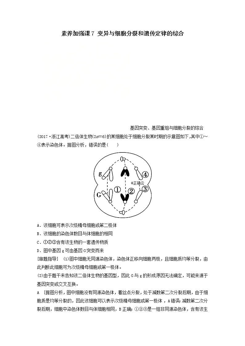 2021届高考生物苏教版一轮复习学案：第7单元生物的变异、育种与进化素养加强课7变异与细胞分裂和遗传定律的综合第1页