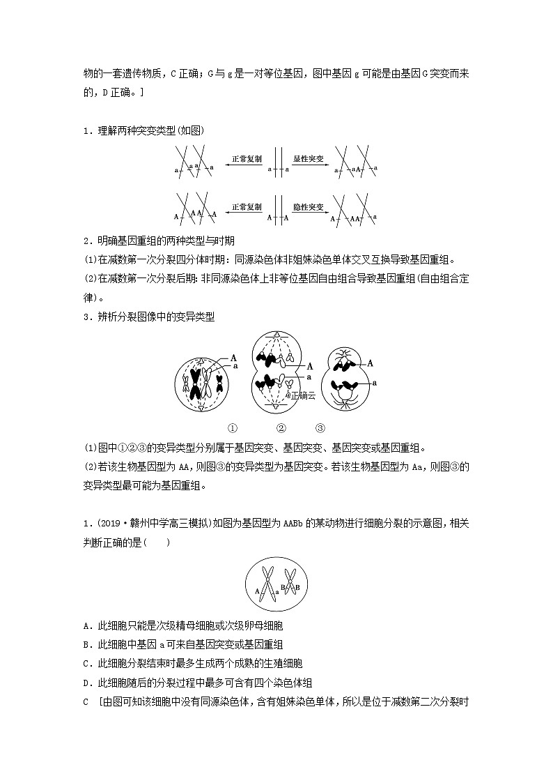 2021届高考生物苏教版一轮复习学案：第7单元生物的变异、育种与进化素养加强课7变异与细胞分裂和遗传定律的综合第2页
