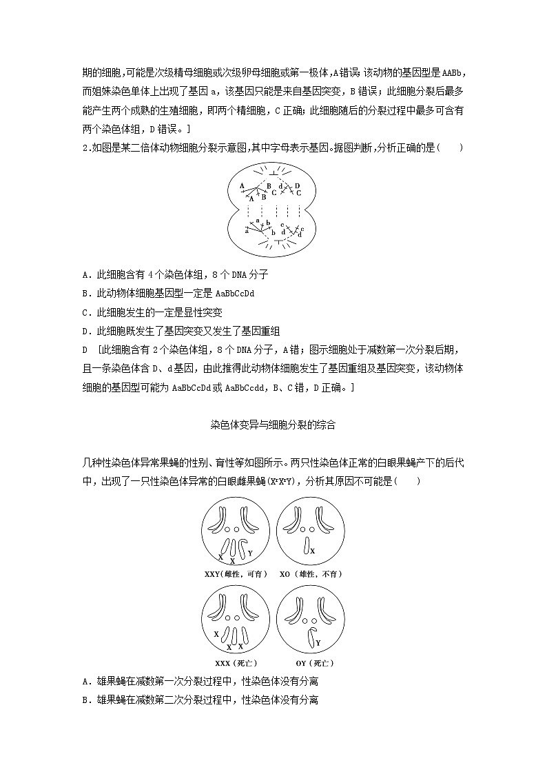 2021届高考生物苏教版一轮复习学案：第7单元生物的变异、育种与进化素养加强课7变异与细胞分裂和遗传定律的综合第3页