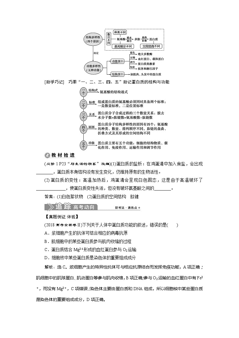 2021版新高考选考生物一轮复习通用版学案：第2讲　蛋白质和核酸02
