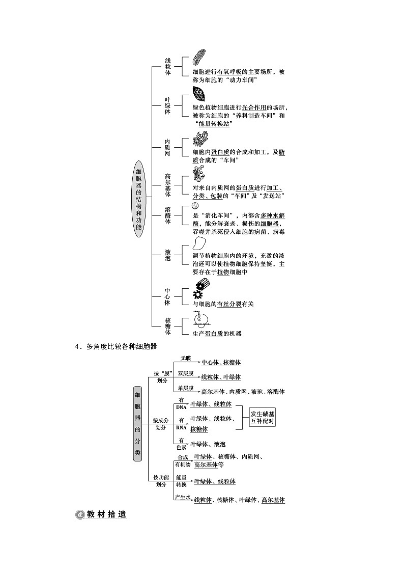 2021版新高考选考生物一轮复习通用版学案：第5讲　细胞器与生物膜系统02