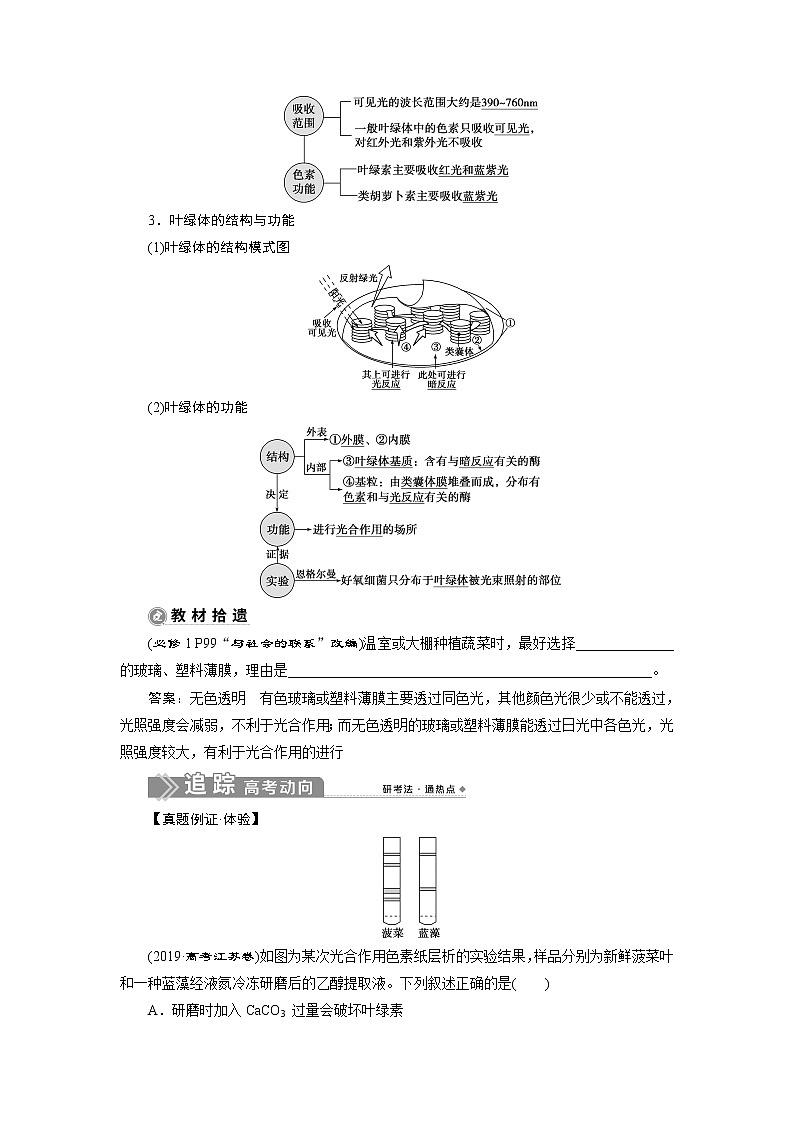 2021版新高考选考生物一轮复习通用版学案：第9讲　能量之源——光与光合作用第2页