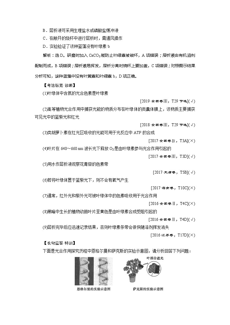 2021版新高考选考生物一轮复习通用版学案：第9讲　能量之源——光与光合作用第3页