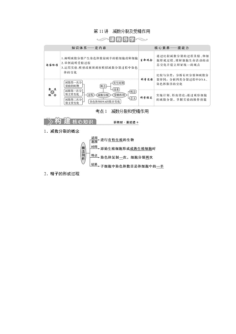 2021版新高考选考生物一轮复习通用版学案：第11讲　减数分裂及受精作用01