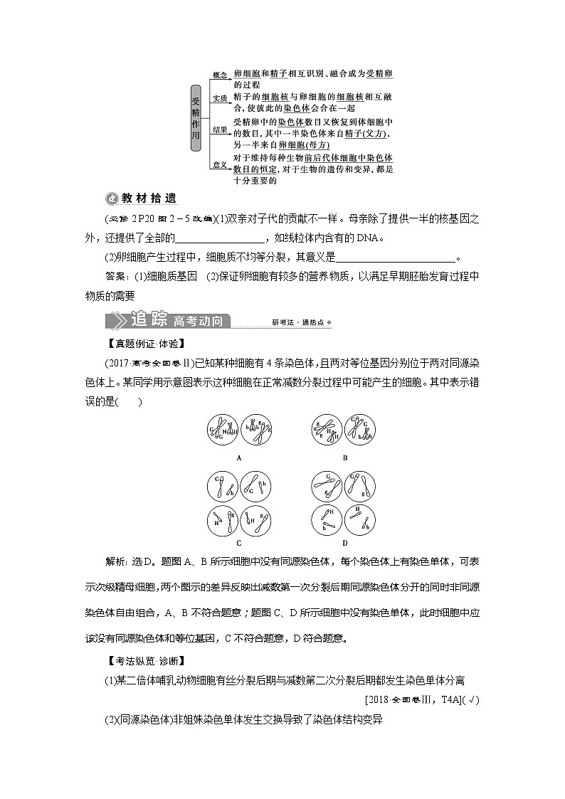 2021版新高考选考生物一轮复习通用版学案：第11讲　减数分裂及受精作用03