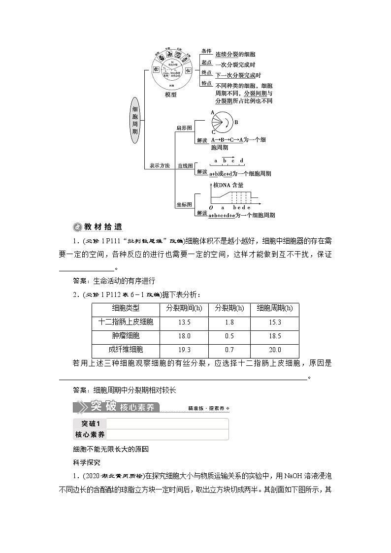 2021版新高考选考生物一轮复习通用版学案：第10讲　细胞的增殖第2页