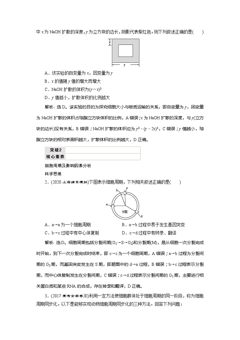 2021版新高考选考生物一轮复习通用版学案：第10讲　细胞的增殖第3页