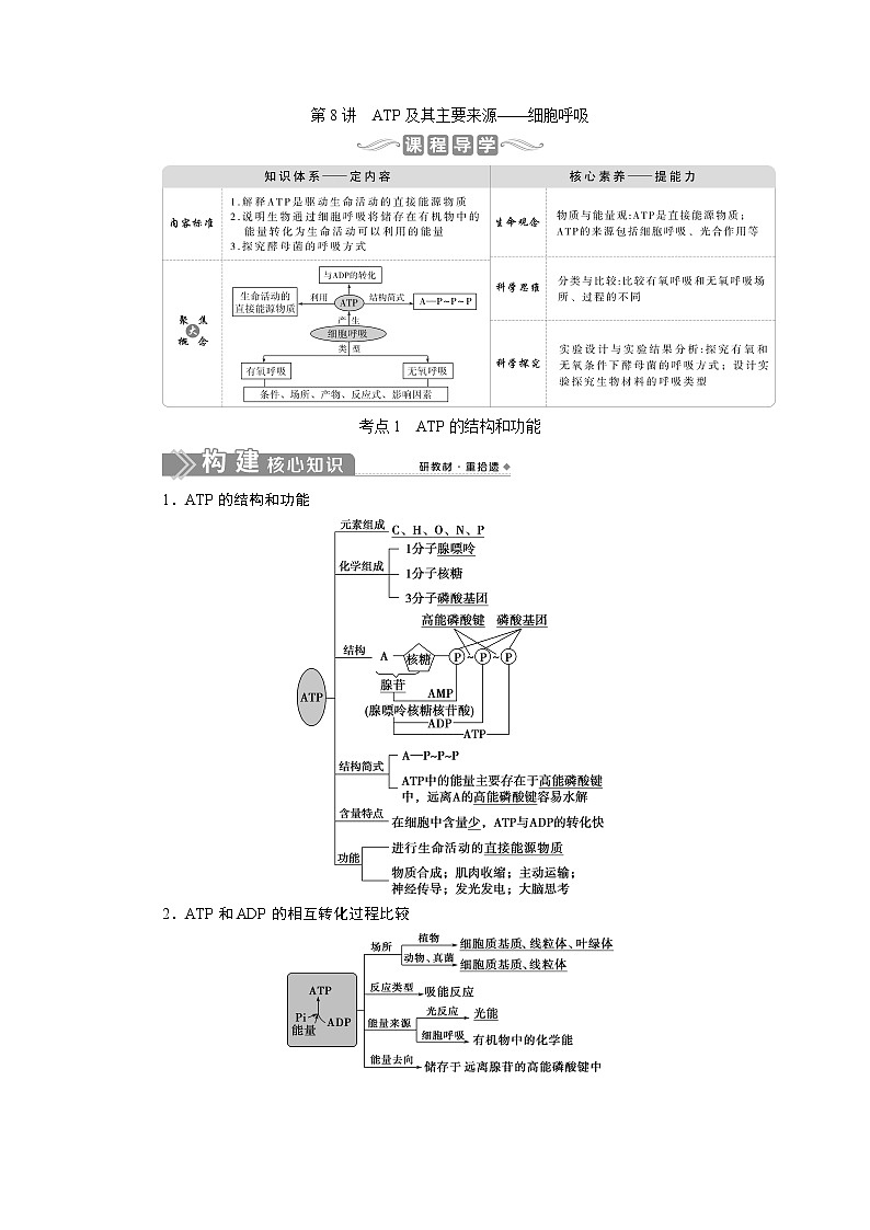 2021版新高考选考生物一轮复习通用版学案：第8讲　ATP及其主要来源——细胞呼吸01