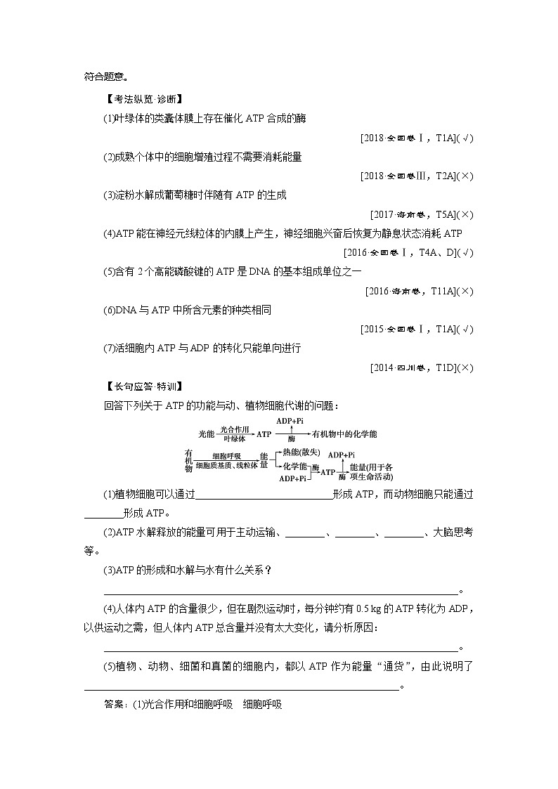2021版新高考选考生物一轮复习通用版学案：第8讲　ATP及其主要来源——细胞呼吸03