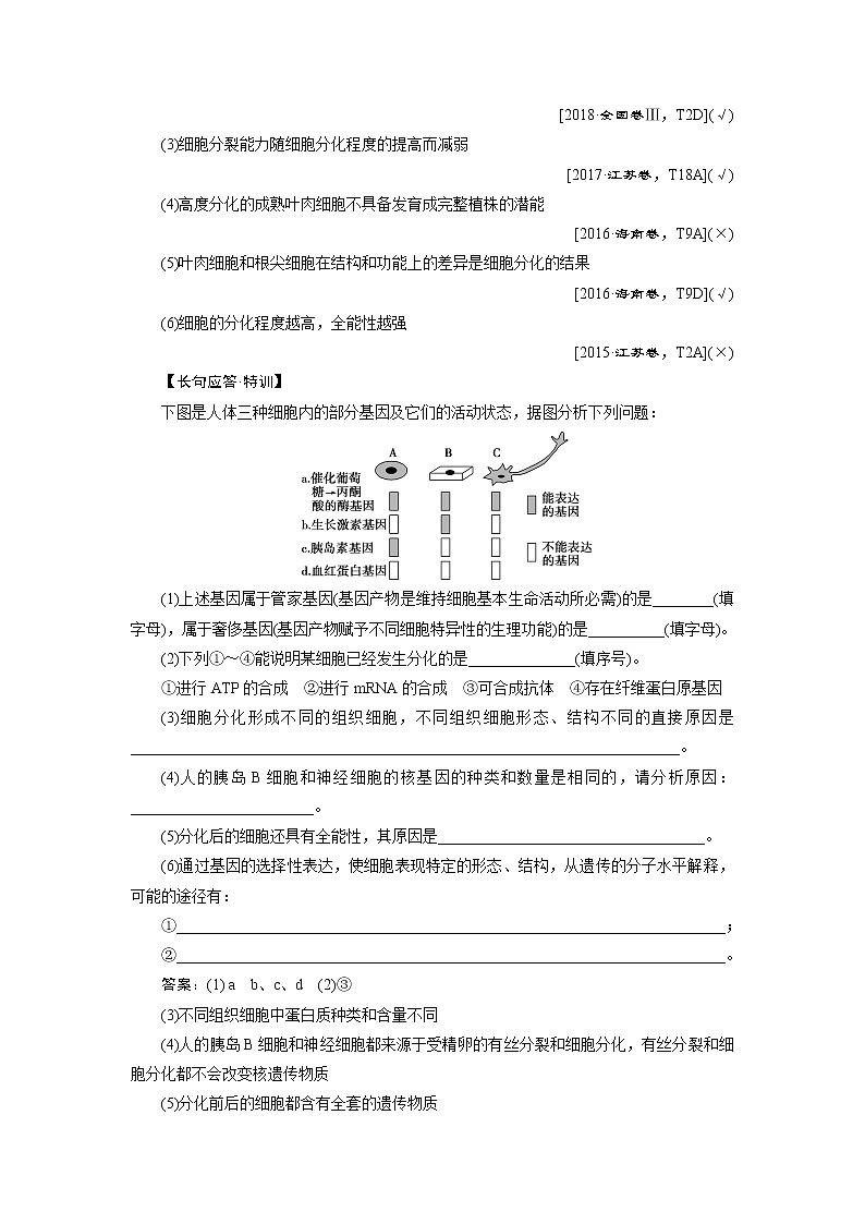 2021版新高考选考生物一轮复习通用版学案：第12讲　细胞的分化、衰老、凋亡及癌变03