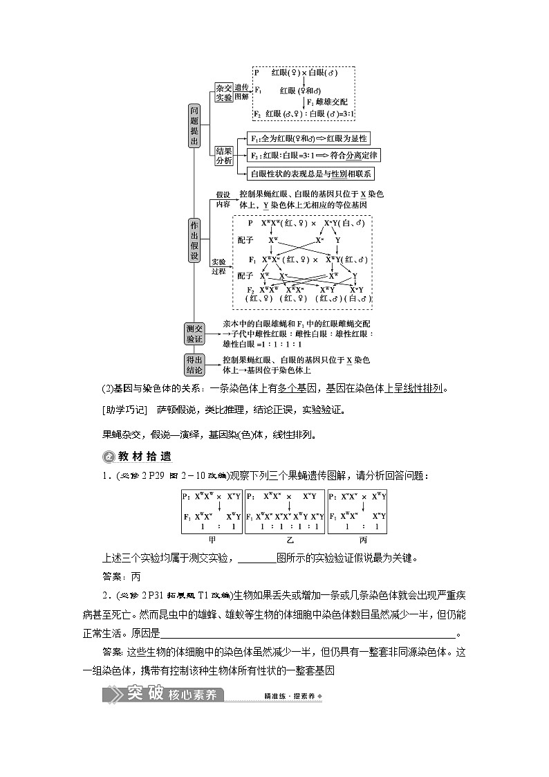 2021版新高考选考生物一轮复习通用版学案：第15讲　基因在染色体上　伴性遗传第2页