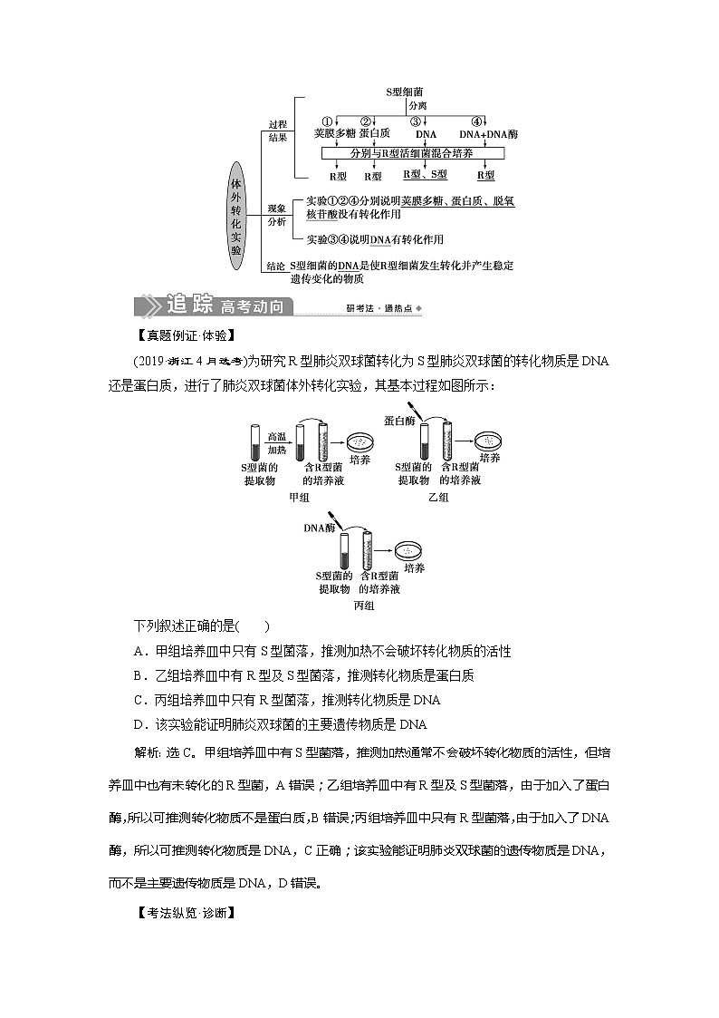 2021版新高考选考生物一轮复习通用版学案：第17讲　DNA是主要的遗传物质第2页