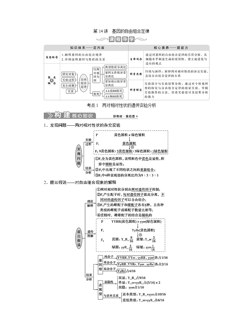 2021版新高考选考生物一轮复习通用版学案：第14讲　基因的自由组合定律01