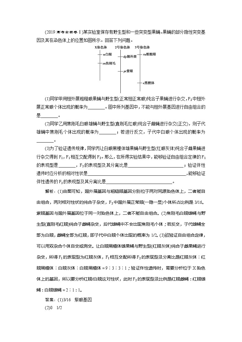 2021版新高考选考生物一轮复习通用版学案：第14讲　基因的自由组合定律03