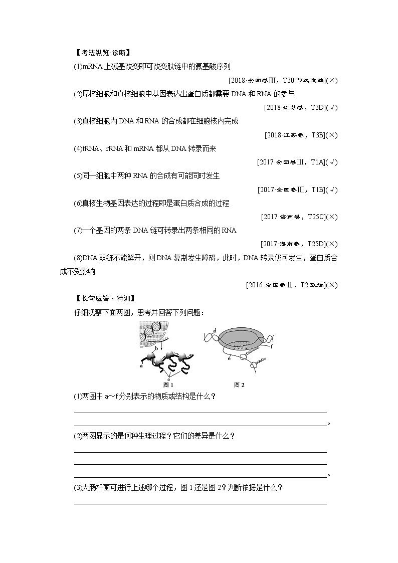 2021版新高考选考生物一轮复习通用版学案：第19讲　基因的表达03