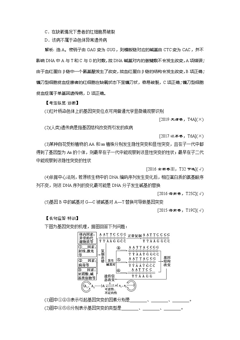2021版新高考选考生物一轮复习通用版学案：第20讲　基因突变和基因重组第3页