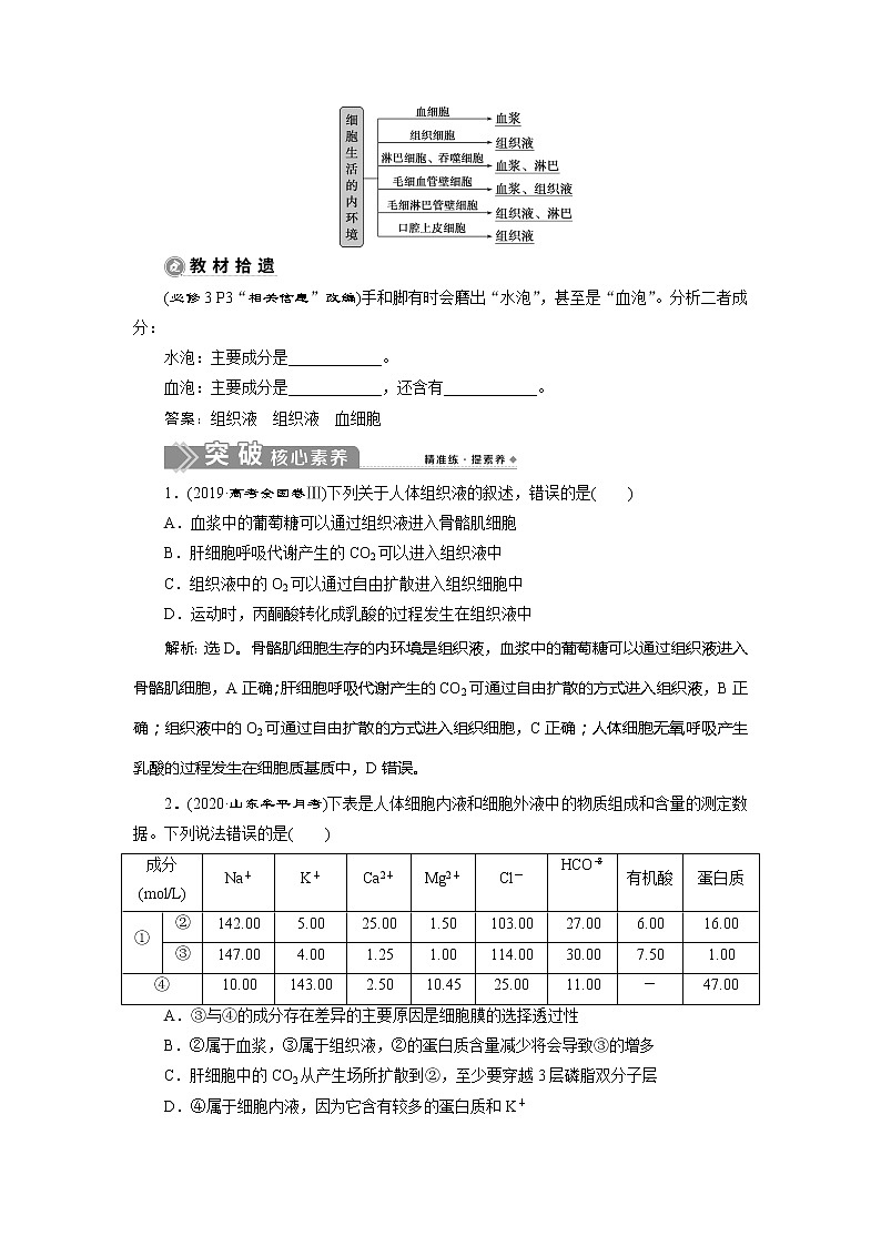 2021版新高考选考生物一轮复习通用版学案：第23讲　人体的内环境与稳态02