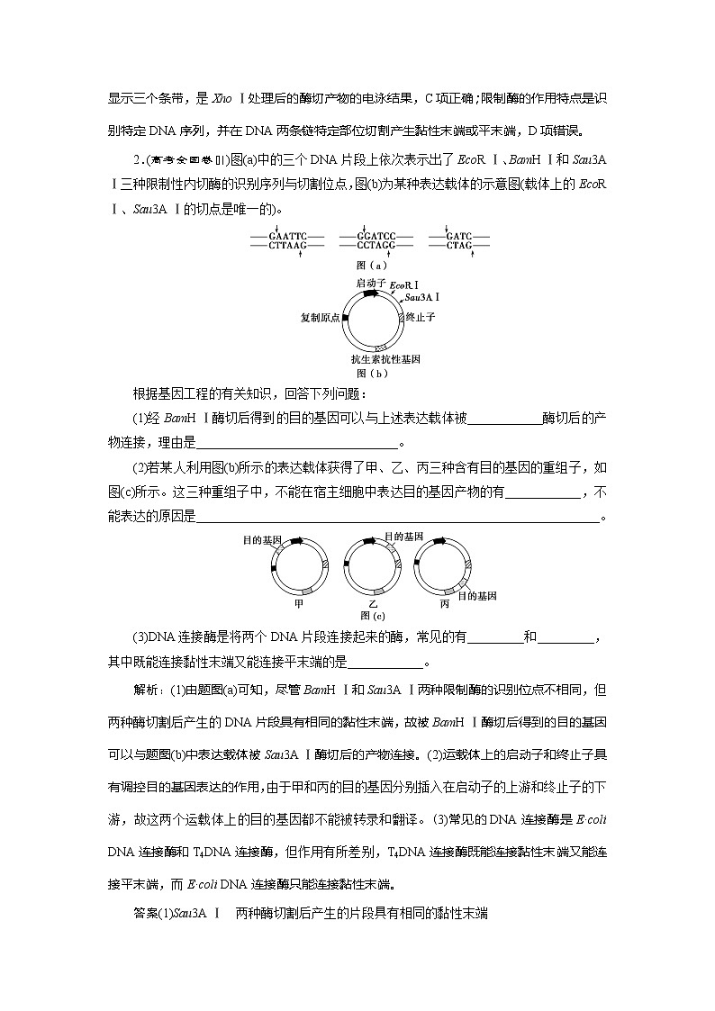 2021版新高考选考生物一轮复习通用版学案：第34讲　基因工程03