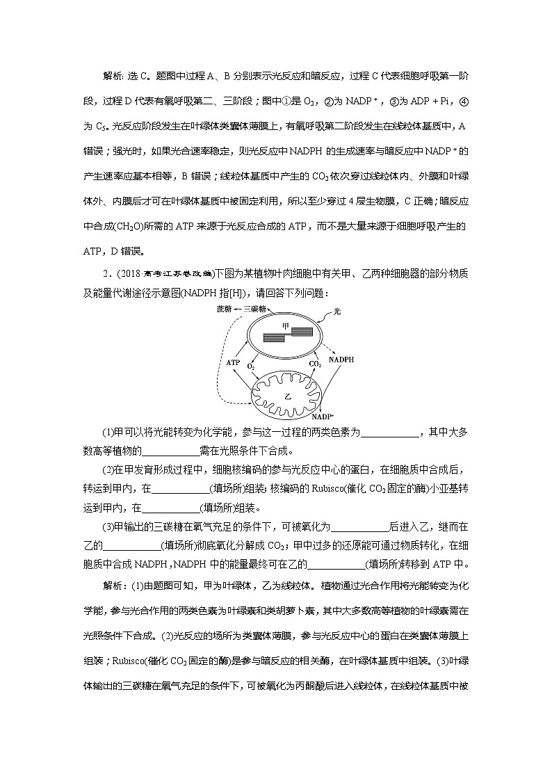 2021版新高考选考生物一轮复习通用版学案：加强提升课（1）　光合作用与细胞呼吸综合应用第2页