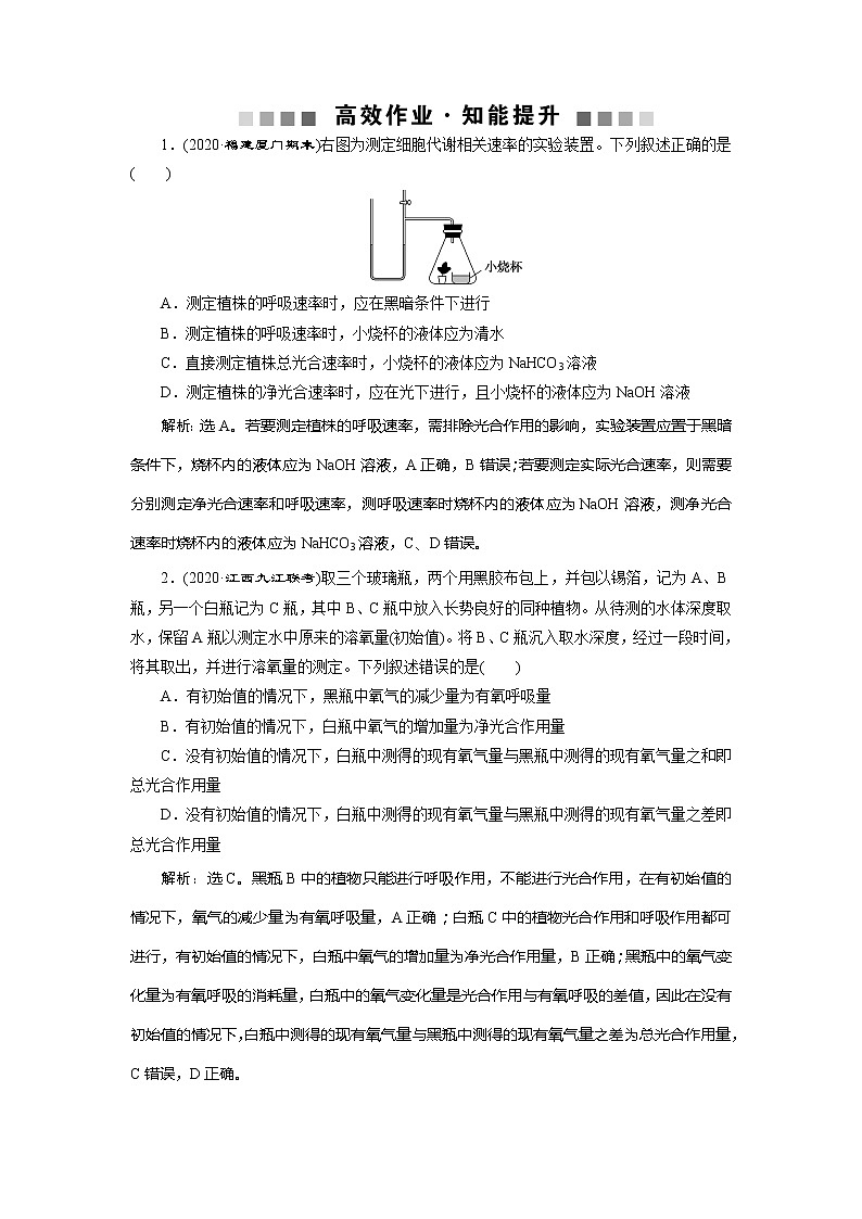 2021版新高考选考生物一轮复习通用版学案：加强提升课（2）　辨析“三率”及“三率”测定的5种实验模型　高效作业知能提升第1页