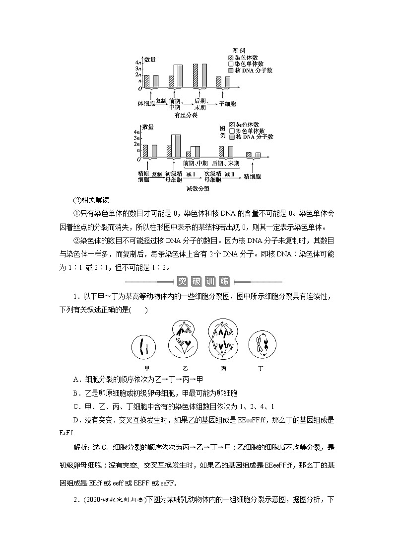 2021版新高考选考生物一轮复习通用版学案：加强提升课（3）　减数分裂与有丝分裂、可遗传变异、DNA复制的关系第3页
