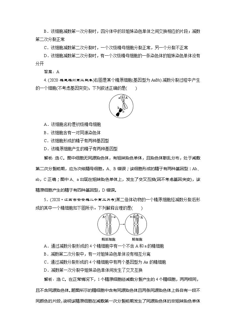 2021版新高考选考生物一轮复习通用版学案：加强提升课（3）　减数分裂与有丝分裂、可遗传变异、DNA复制的关系　高效作业知能提升第2页