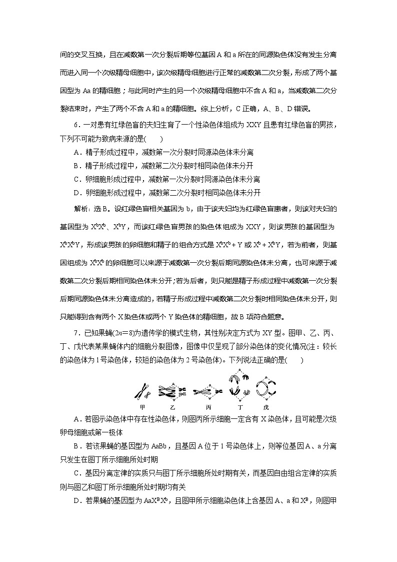 2021版新高考选考生物一轮复习通用版学案：加强提升课（3）　减数分裂与有丝分裂、可遗传变异、DNA复制的关系　高效作业知能提升第3页