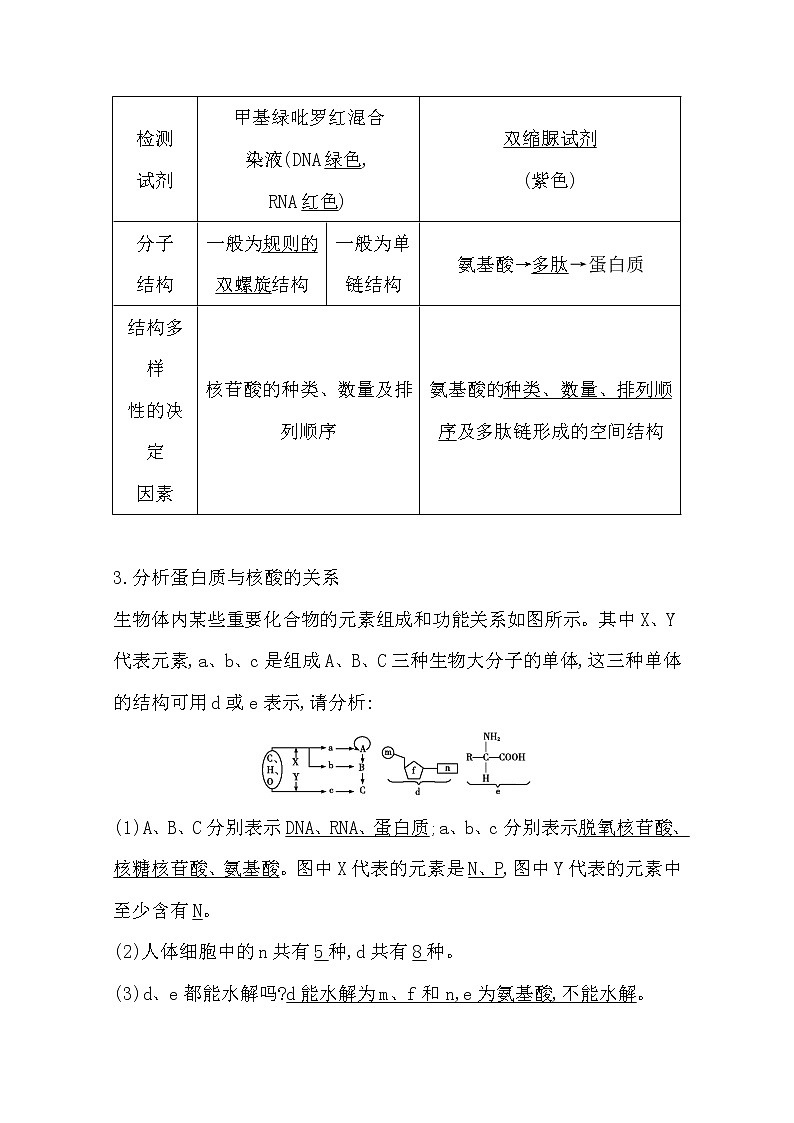 2021高考生物人教版一轮教师用书第一单元第4讲　核酸、糖类和脂质03
