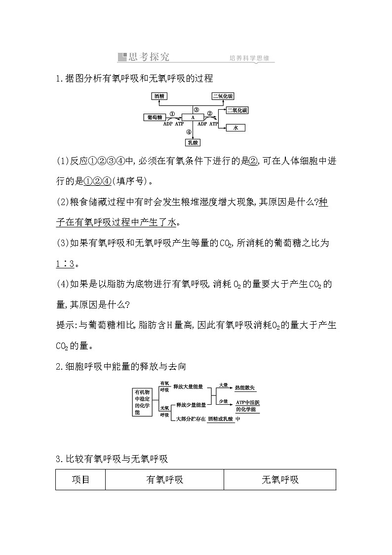 2021高考生物人教版一轮教师用书第三单元第9讲　细胞呼吸第3页