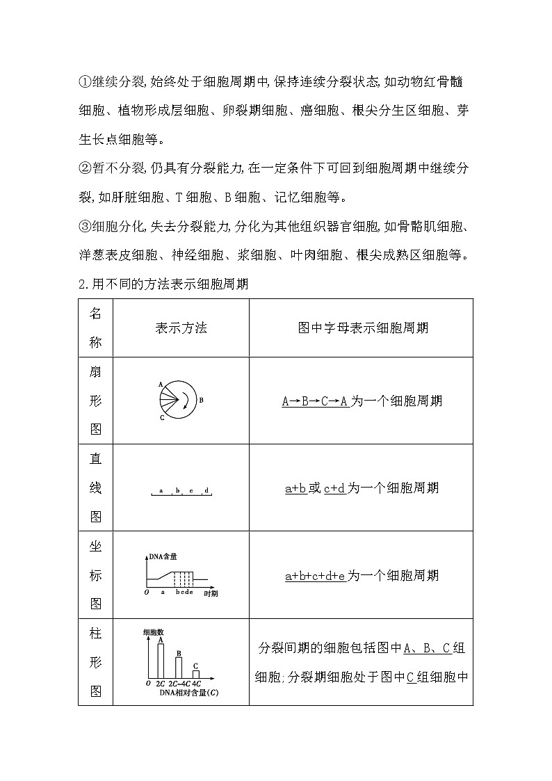 2021高考生物人教版一轮教师用书第四单元第11讲　细胞的增殖03