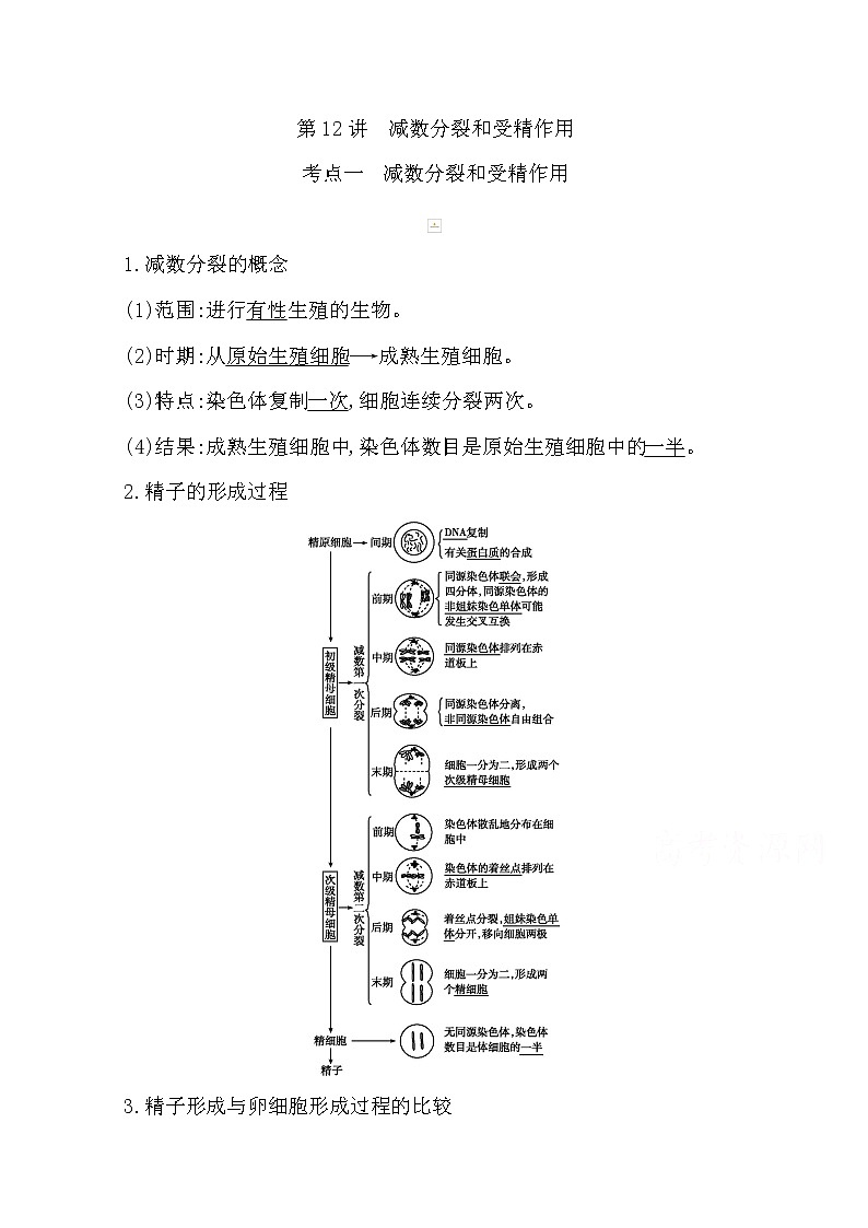 2021高考生物人教版一轮教师用书第四单元第12讲　减数分裂和受精作用第1页