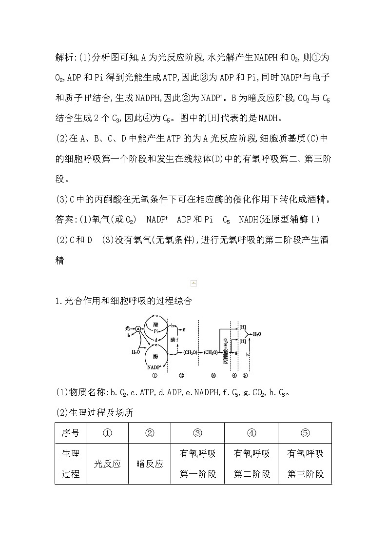 2021高考生物人教版一轮教师用书第三单元素养提升课2　光合作用和细胞呼吸的过程综合第2页