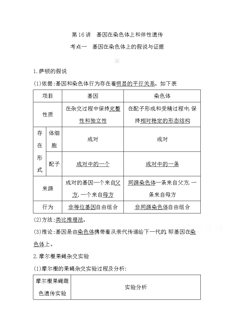2021高考生物人教版一轮教师用书第五单元第16讲　基因在染色体上和伴性遗传01