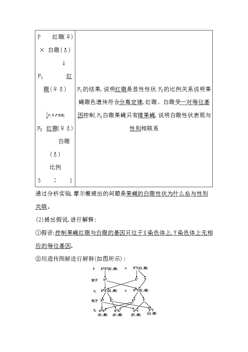 2021高考生物人教版一轮教师用书第五单元第16讲　基因在染色体上和伴性遗传02