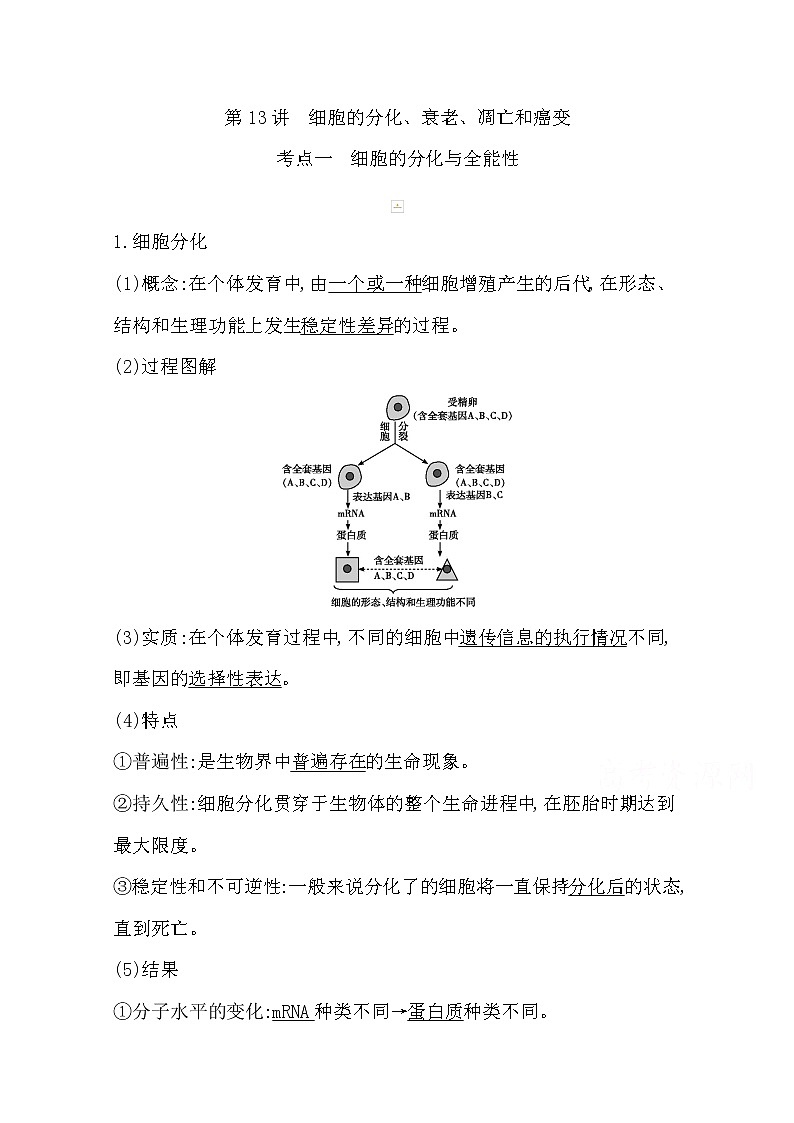 2021高考生物人教版一轮教师用书第四单元第13讲　细胞的分化、衰老、凋亡和癌变01