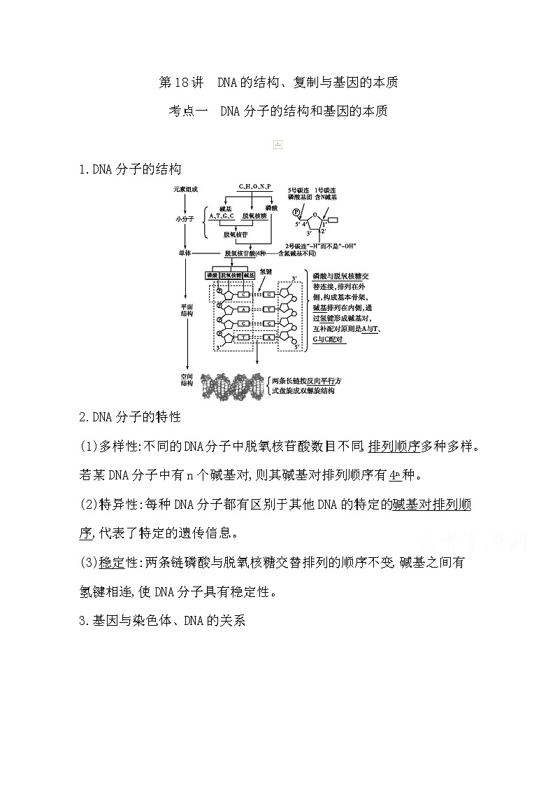 2021高考生物人教版一轮教师用书第六单元第18讲　DNA的结构、复制与基因的本质01