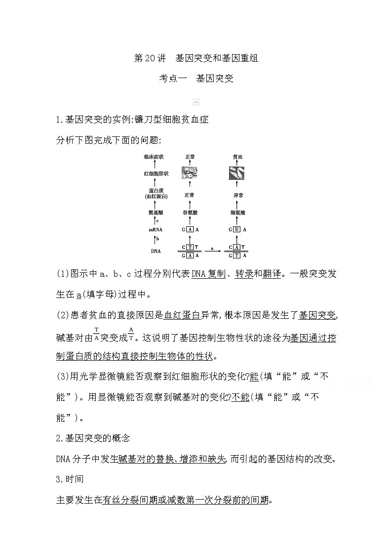 2021高考生物人教版一轮教师用书第七单元第20讲　基因突变和基因重组01
