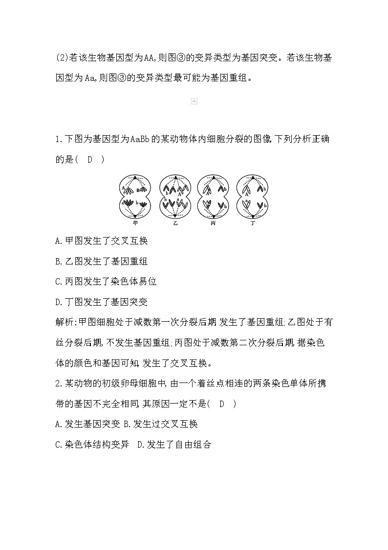 2021高考生物人教版一轮教师用书第七单元素养提升课8　变异与细胞分裂、遗传定律的综合第3页