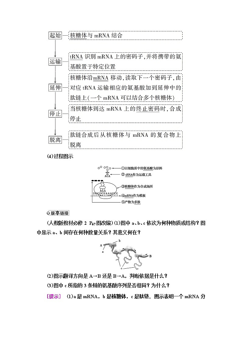 2021版高考生物（苏教版）一轮复习学案：必修2第6单元第3讲　基因控制蛋白质的合成第3页