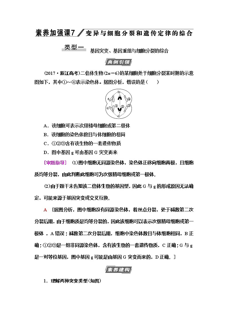 2021版高考生物（苏教版）一轮复习学案：必修2第7单元素养加强课7　变异与细胞分裂和遗传定律的综合第1页
