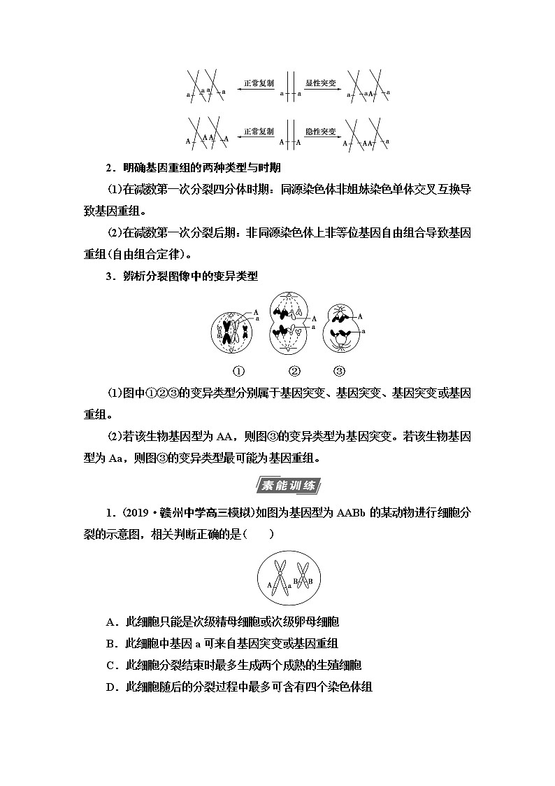 2021版高考生物（苏教版）一轮复习学案：必修2第7单元素养加强课7　变异与细胞分裂和遗传定律的综合第2页